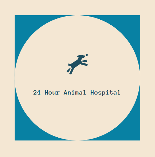24 Hour Animal Hospital